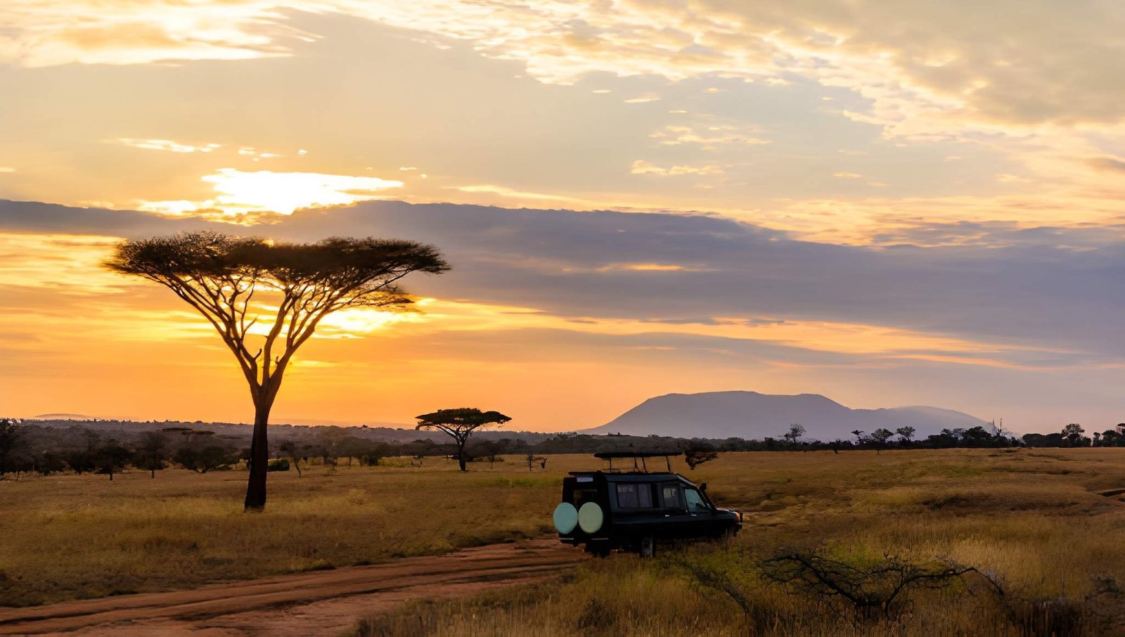 Tanzania Safari